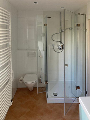 Glasdusche mit kleinem Bedarfsflügel und großer Türe